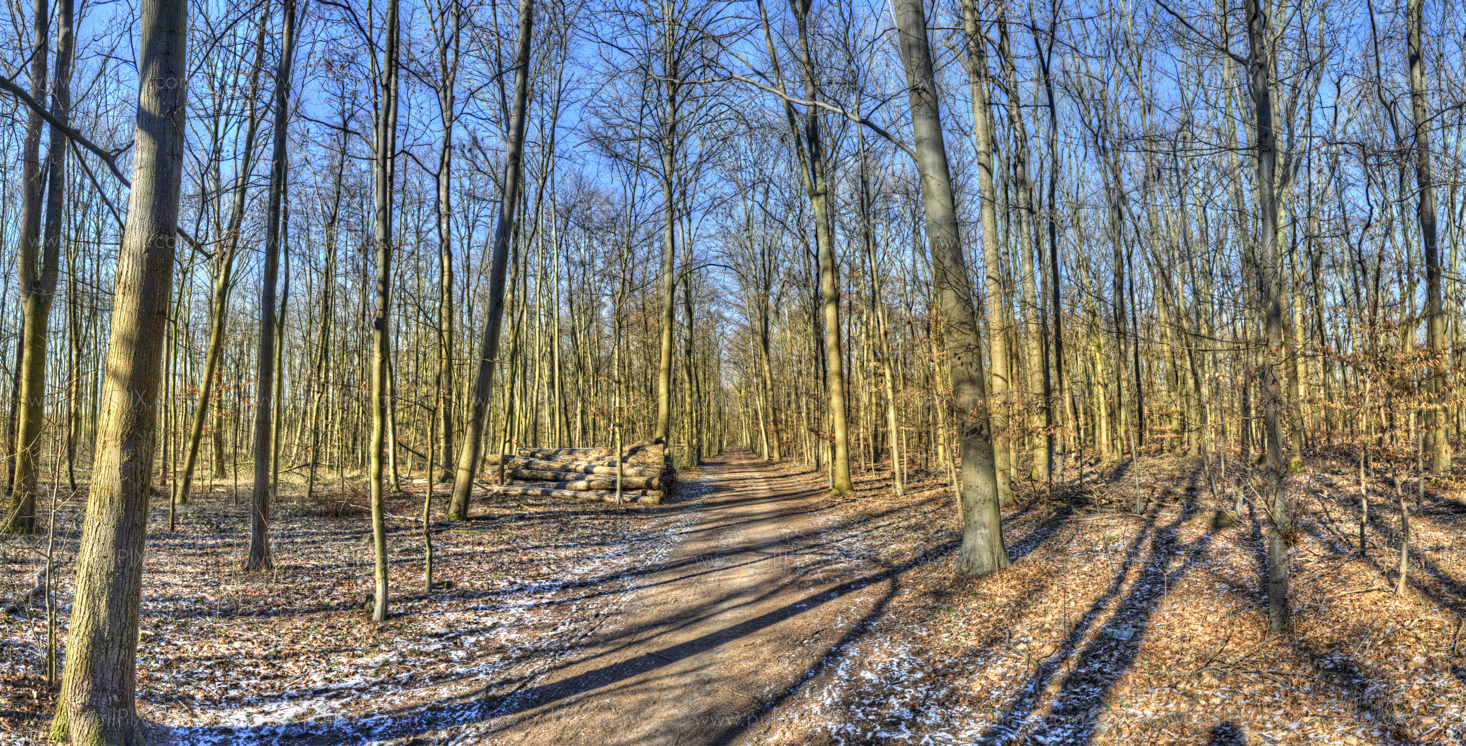 Preview Waldweg im Winter Malerisch.jpg